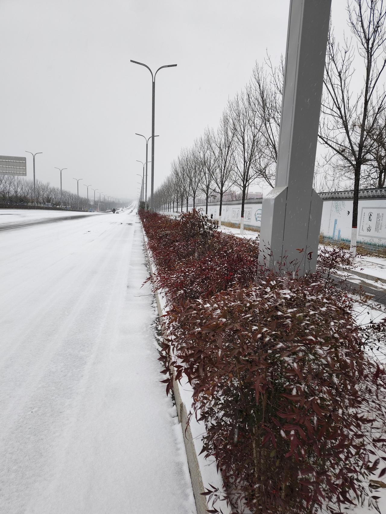 雪落小城，这条空寂的街道藏着冬日最温柔的浪漫
 
今早推开窗，整座小城已经被雪裹