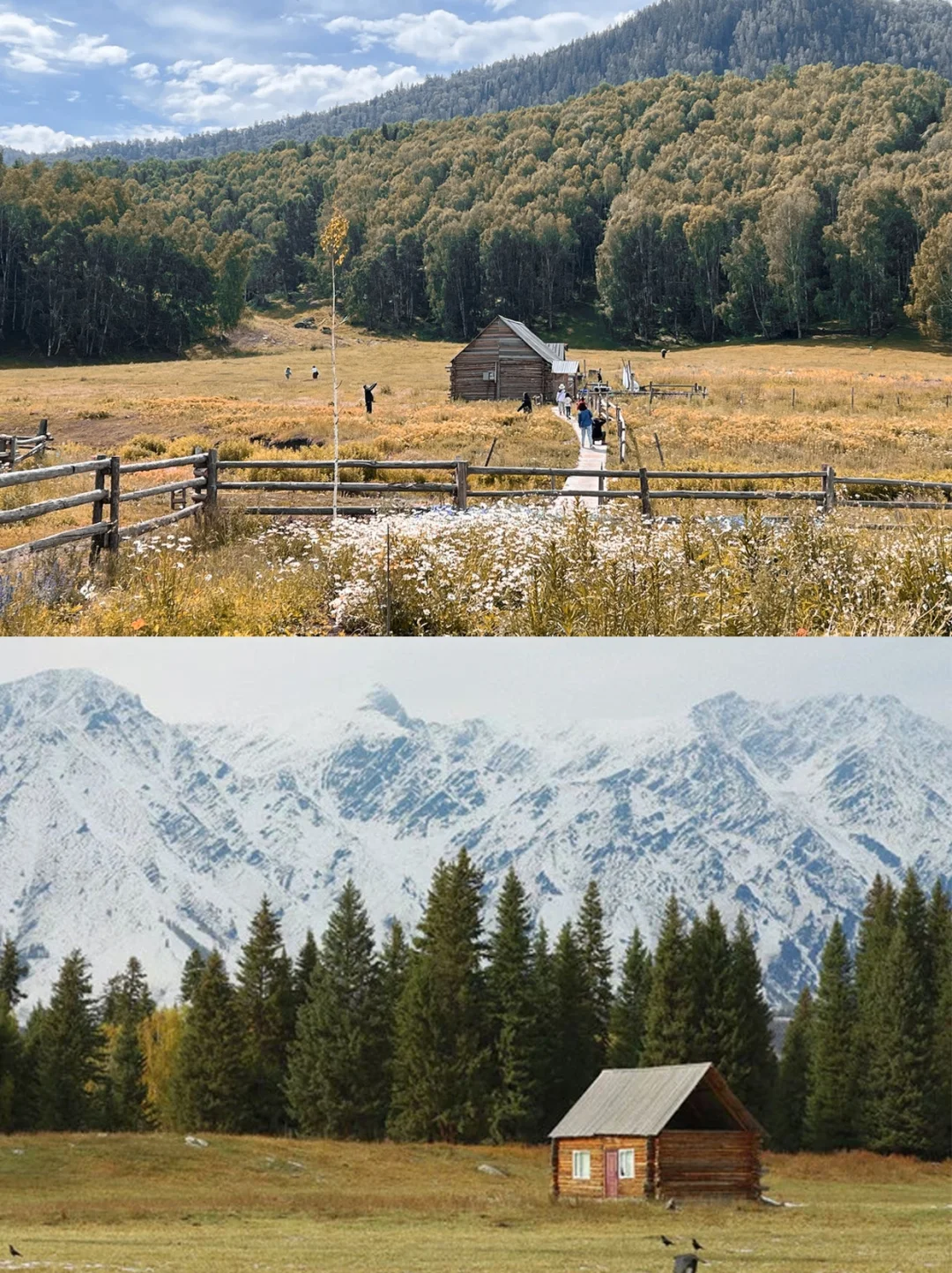 强烈建议‼️9-10月来新疆阿勒泰赏绝美秋景