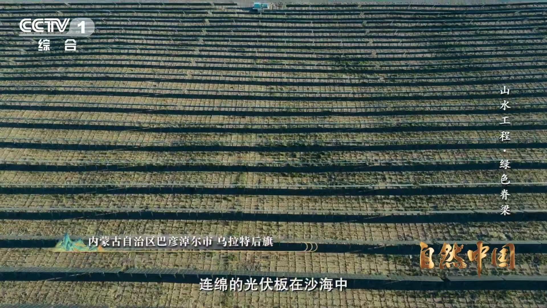 治沙界又添一员猛将光伏板一边发电一边治沙 光伏板成治沙“神队友”！巴彦淖尔300