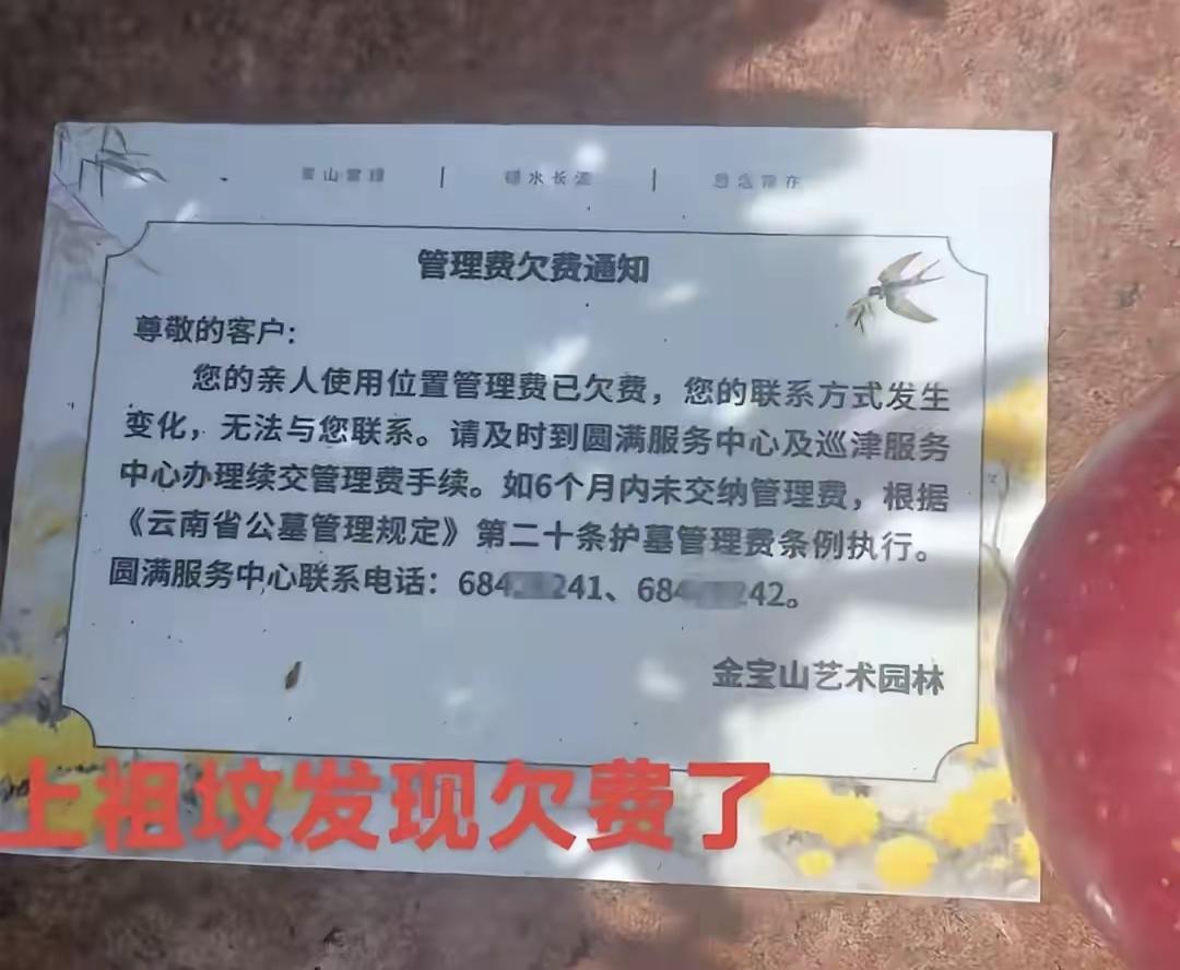 网上刷到一张扫墓照片，看完心里挺不是滋味的。
墓前贴着一张墓穴管理费欠费通知，因