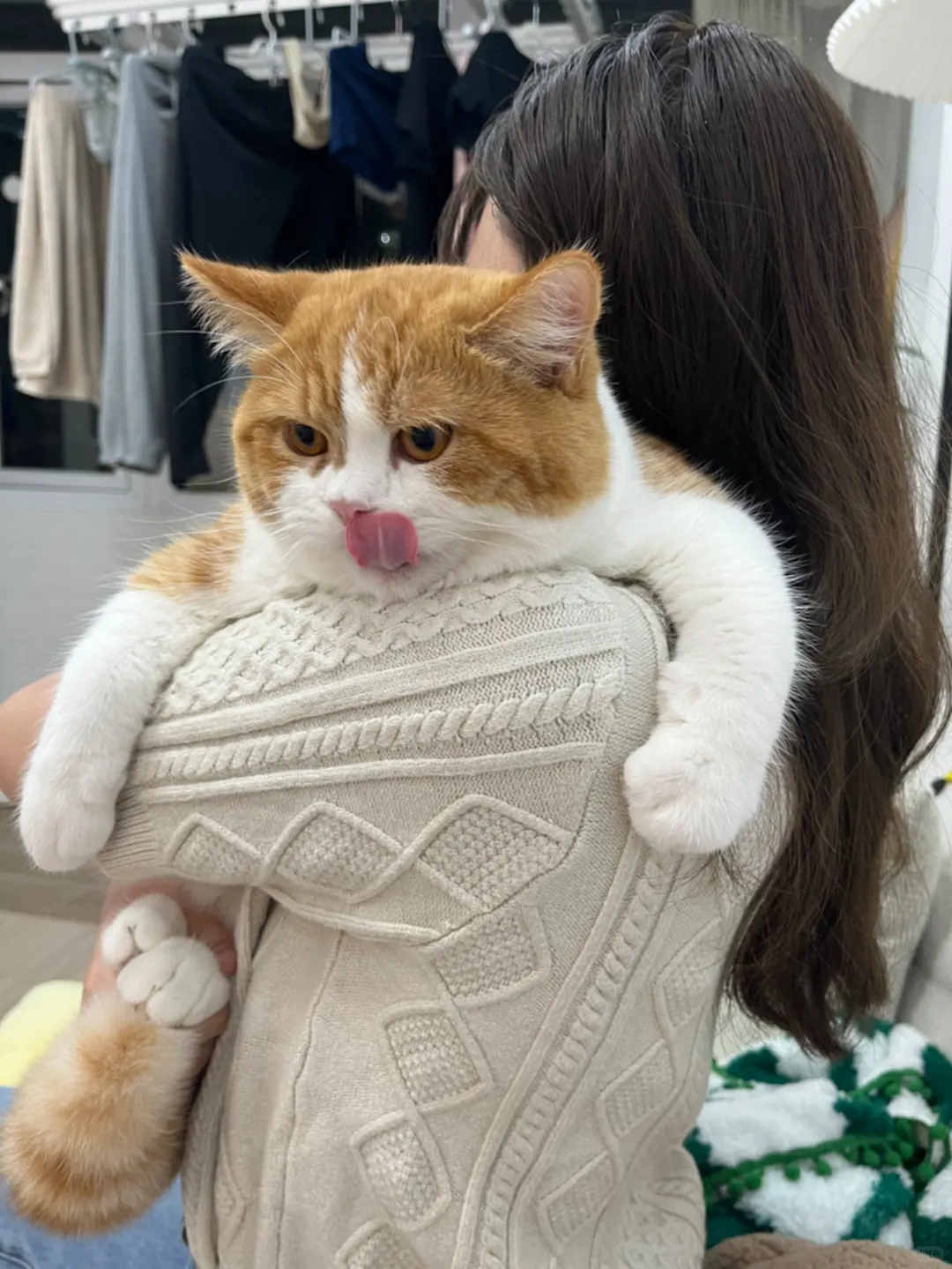 突然发现一张好可爱的照片