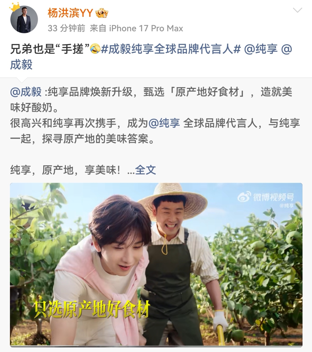 纯享杨总的主页含毅量满满