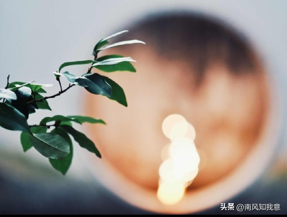“暮色烟火”


有些情愫，只宜向晚而生
灿若流火，寂于星沉
不求长明，但得须臾