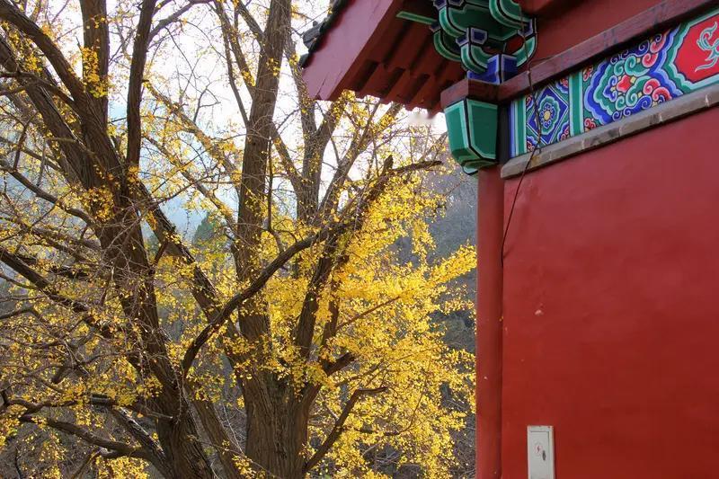 人真能看破红尘、放下一切吗？我觉得挺难，但也不是没可能。
大多数人痛苦源于执念和