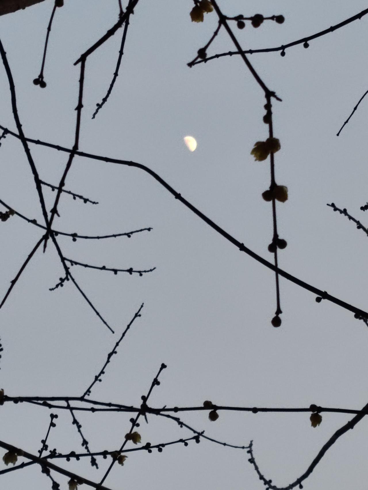 人这一生，既为自己而活，也为他人而活。年逾五十，该操劳的大事都已尘埃落定。孩子成