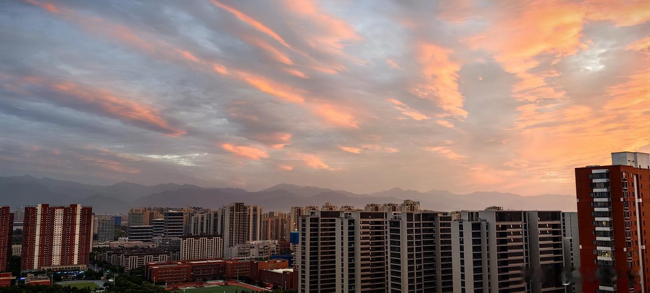 我摔碎了盛满清凉月光的酒杯
那瘦长的影子醉倒在城墙的青砖上
转而被夜色吹散
落在