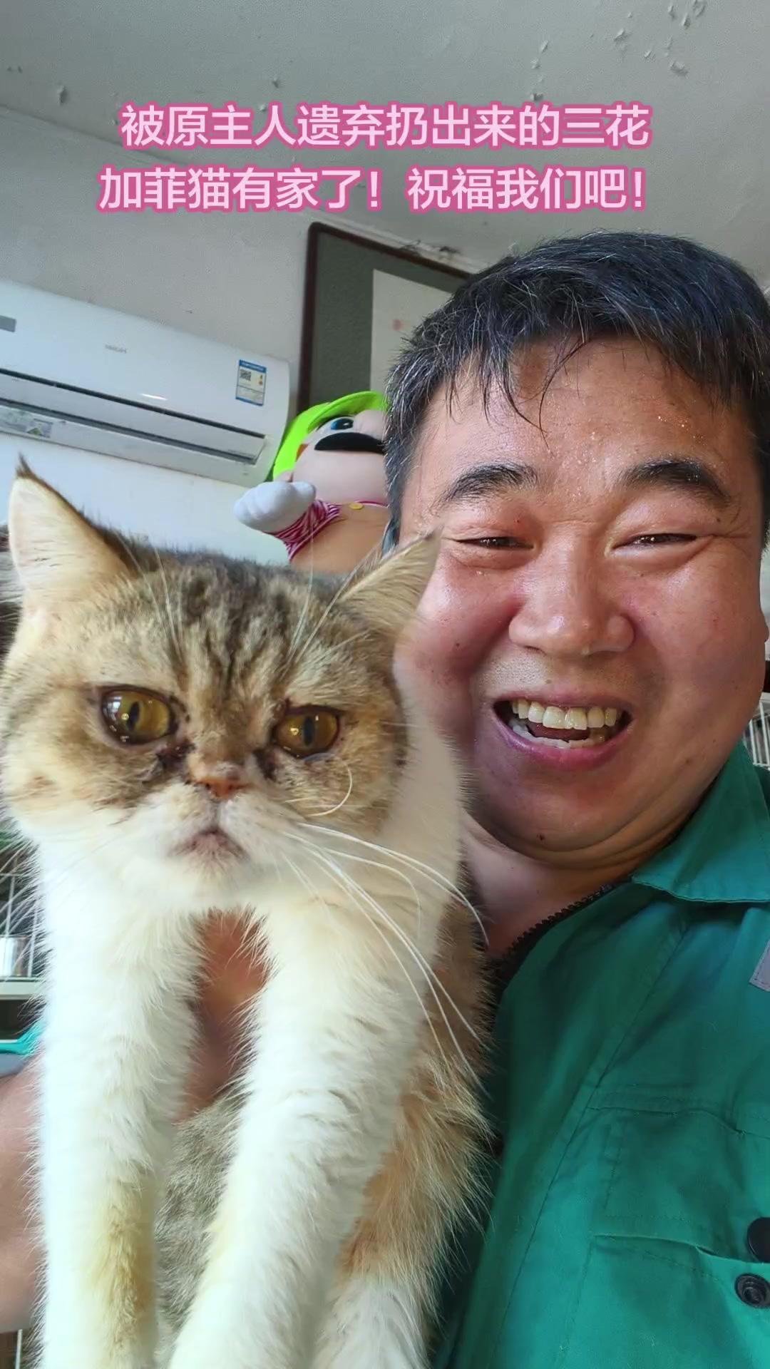 粉丝妹子刷到我发的三花猫视频后哭了，老公心疼她直接来基地接猫回家。这家人的爱真的