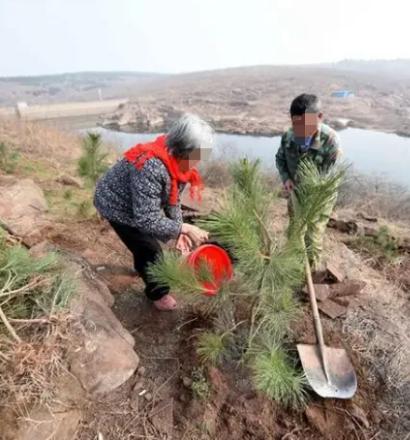 震惊！郑州一男子干了件大事，他全然不顾家人劝阻，毅然承包下250亩荒山。本想大展