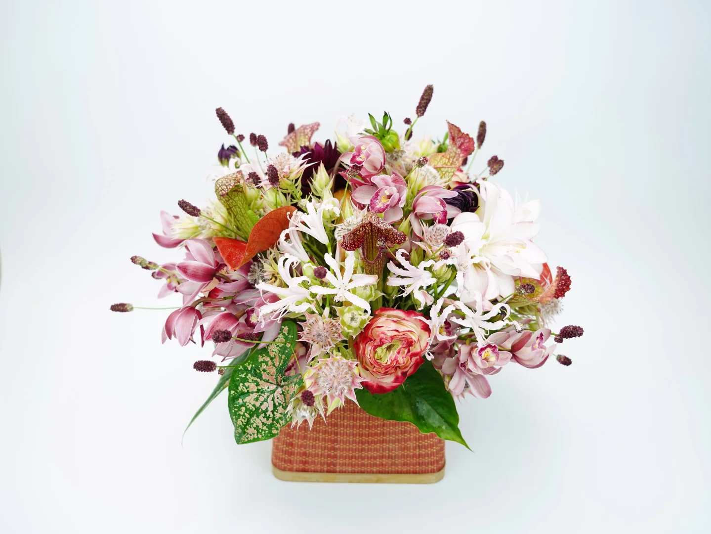 地榆：虽然我很小，但我不是小角色