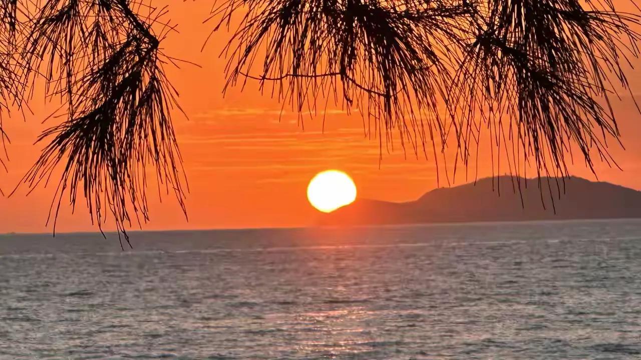 赴山海吧2026上半年青岛新房二手房成交约6.59万套，成交持续回暖 据官方数据