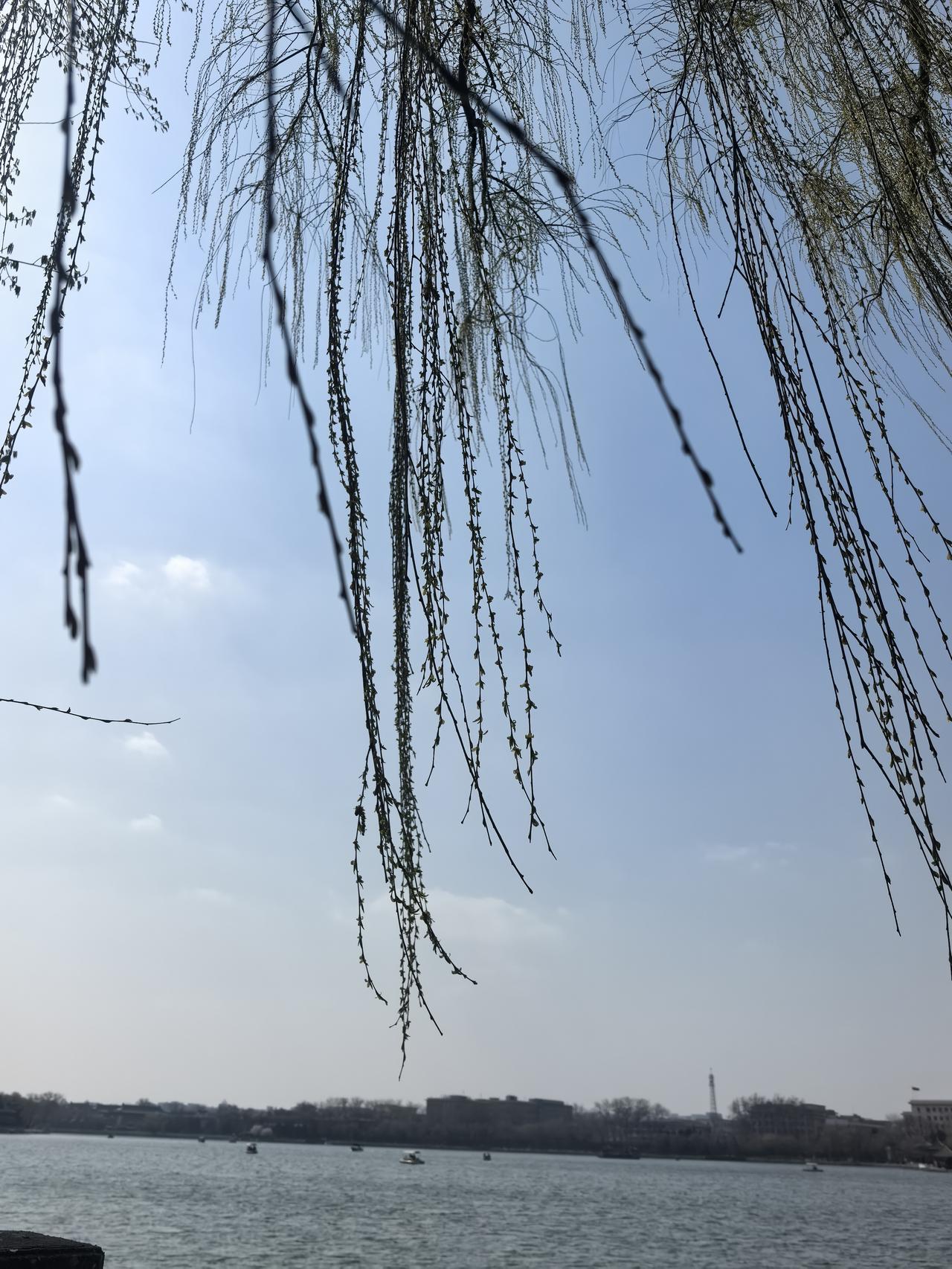 村里的村民也叫“股民”了。昨天下午，村干部到家里找我签字。我当时一愣，签字，签啥