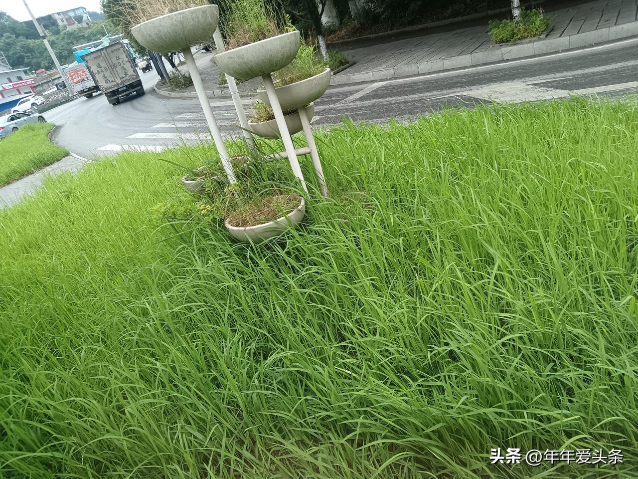 只能说减少，不会全部消失，因有人的地方就会有消费。我们日常生活一日三餐不可能在网