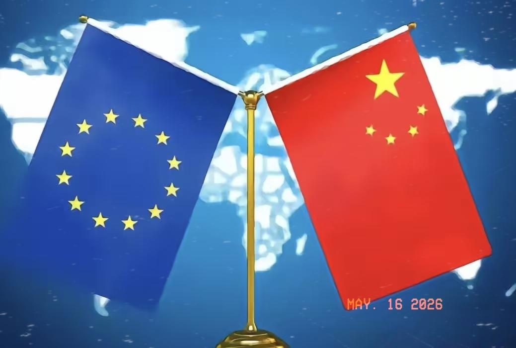 欧盟的挑衅直接遭到了我国的当头一棒，太解气了！

近期，欧盟不仅针对中国企业增加