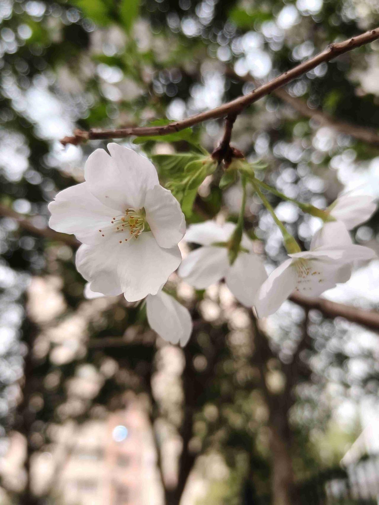 我的今日状态：💰期待暴富
我这里的天气：🌤️多云