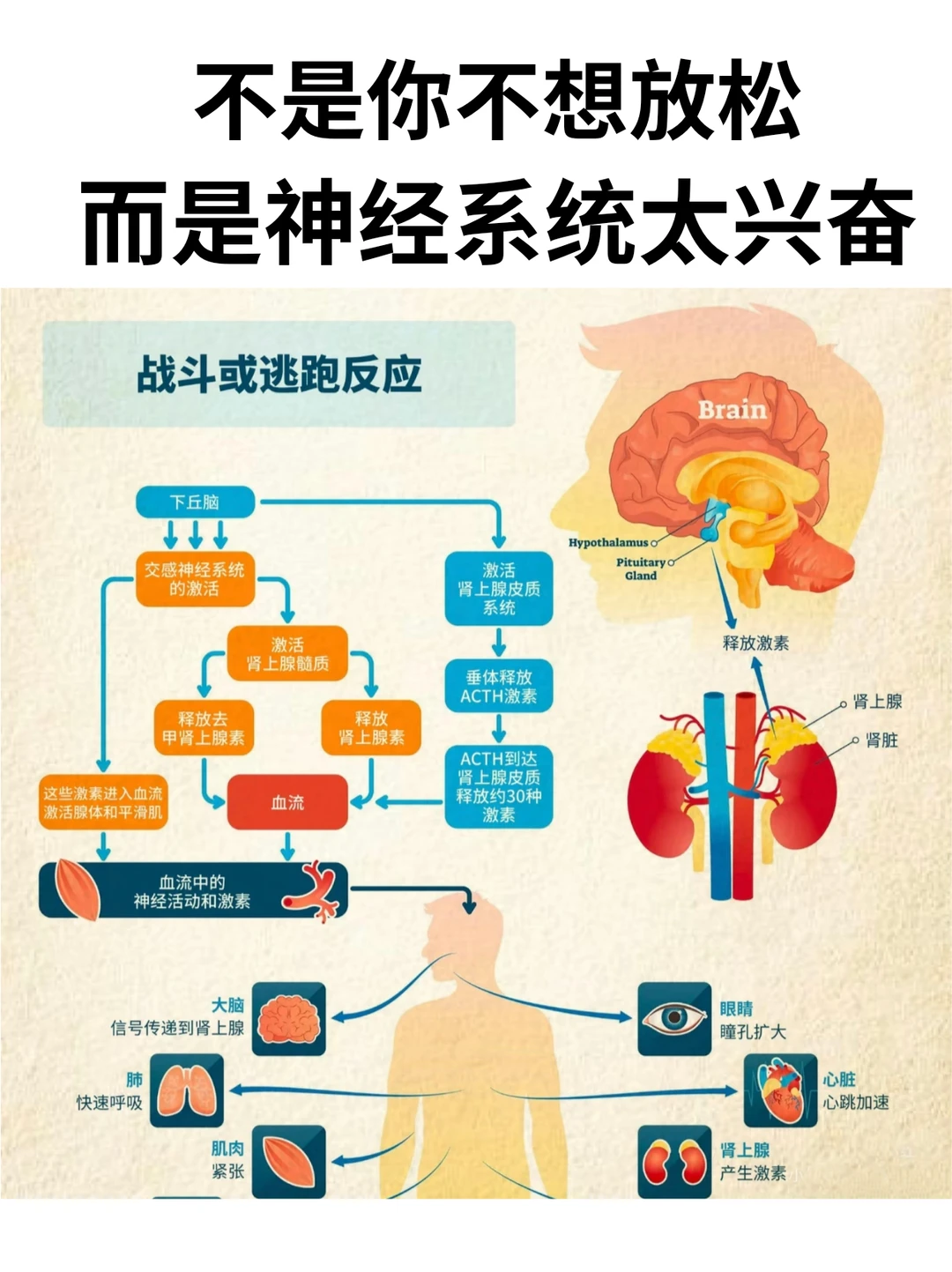 越想放松，越焦虑