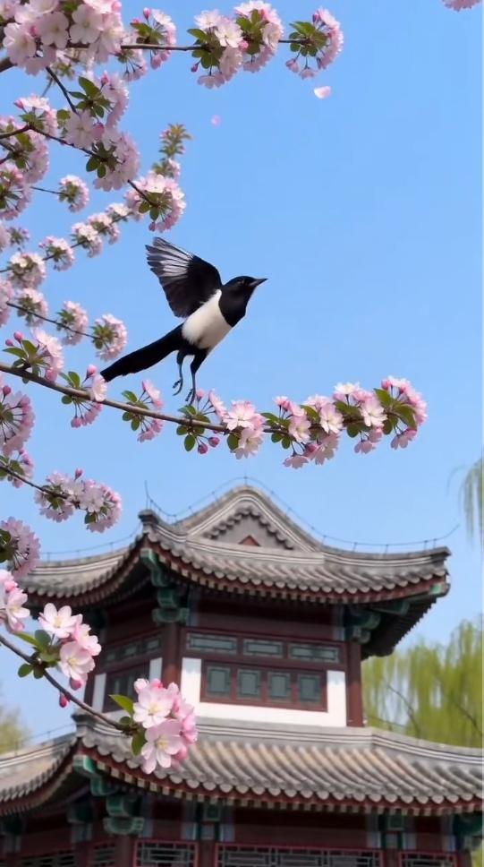 江南春天就是美，喜鹊枝头踏春芳。粉花映古檐，晴空衬新绿，喜鹊振翅穿花而过，将江南
