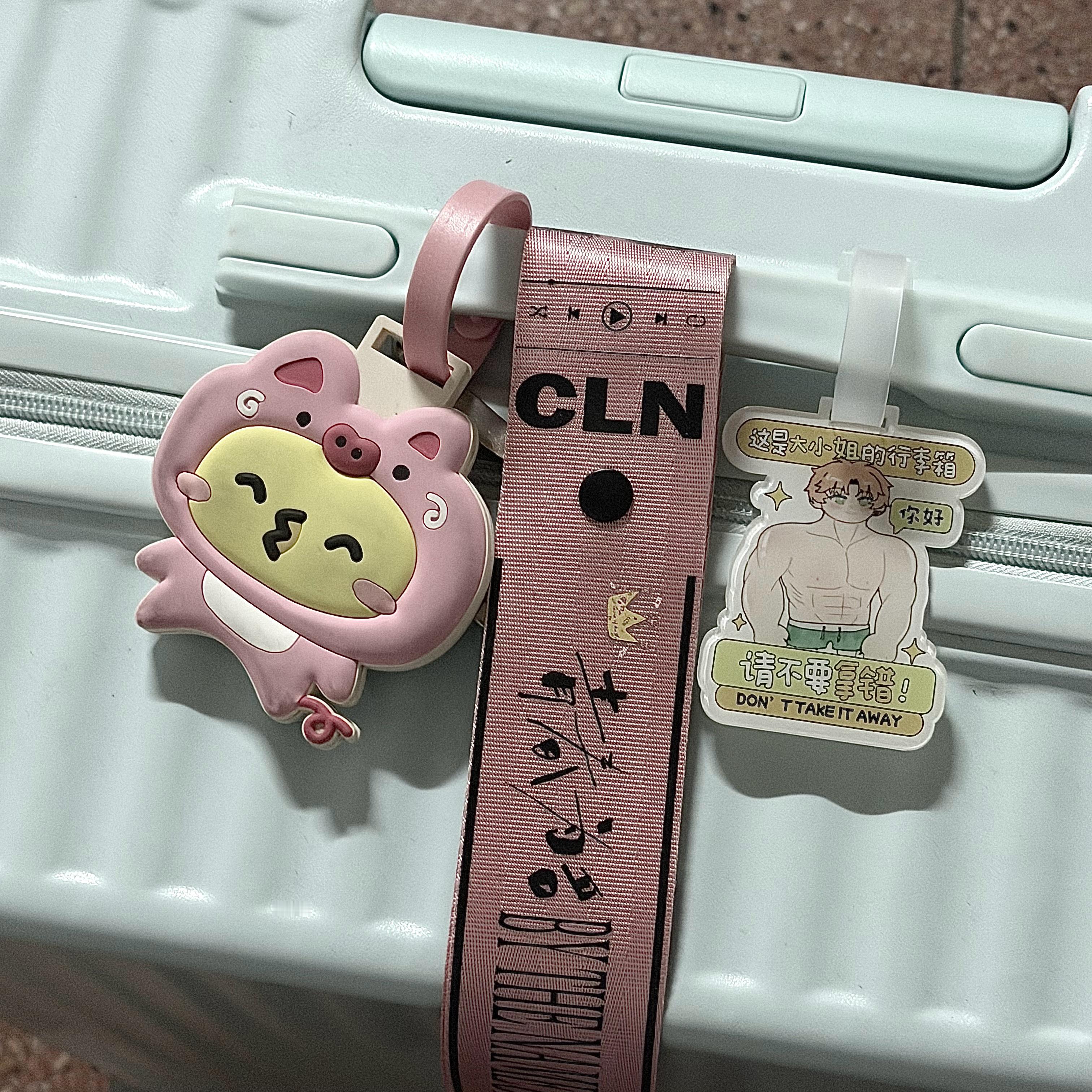 我看谁还拿错行李箱 