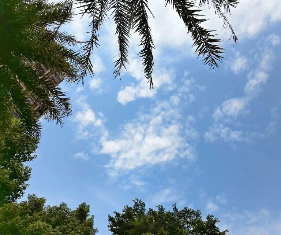 微博云祈福祈福2026华严宗祖庭西安华严寺 当下的每一步，都在铺未来的路，别总盯