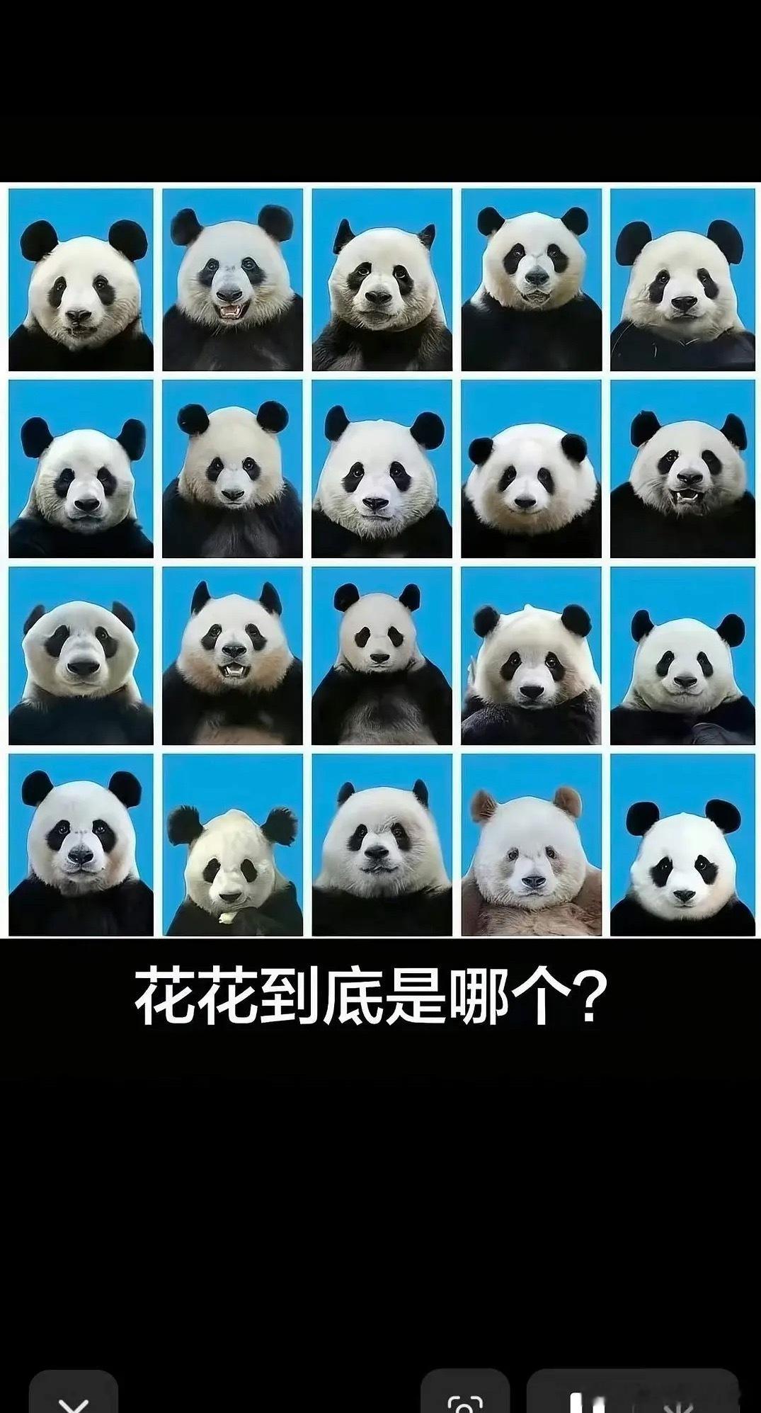 我记得我的互关有一位好像可以认出来名字里有枝 