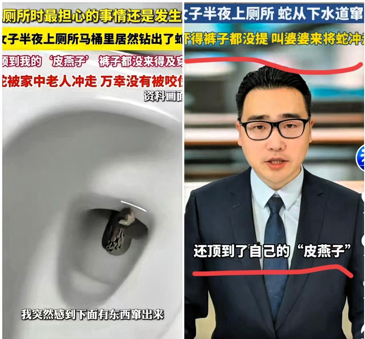 半夜上厕所被蛇“偷袭”？
这个细节比恐惧更该被重视！
 看完无锡女子半夜

如厕