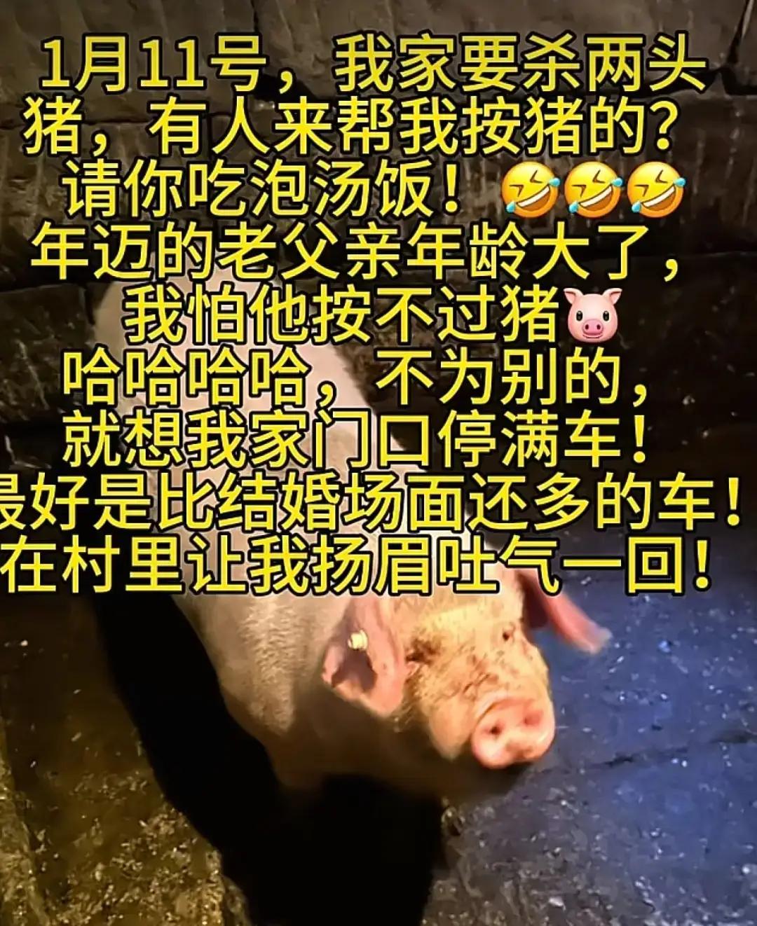 一切都解释得通了，

之前呆呆家为什么那么在村里不受待见，杀猪都没人帮忙了。
