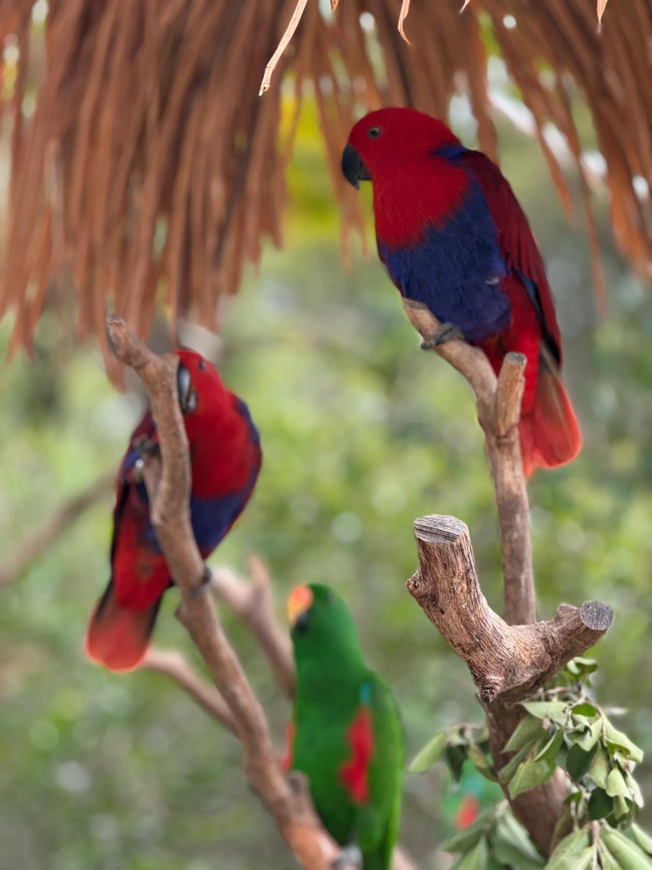 小动物就是让人欢喜