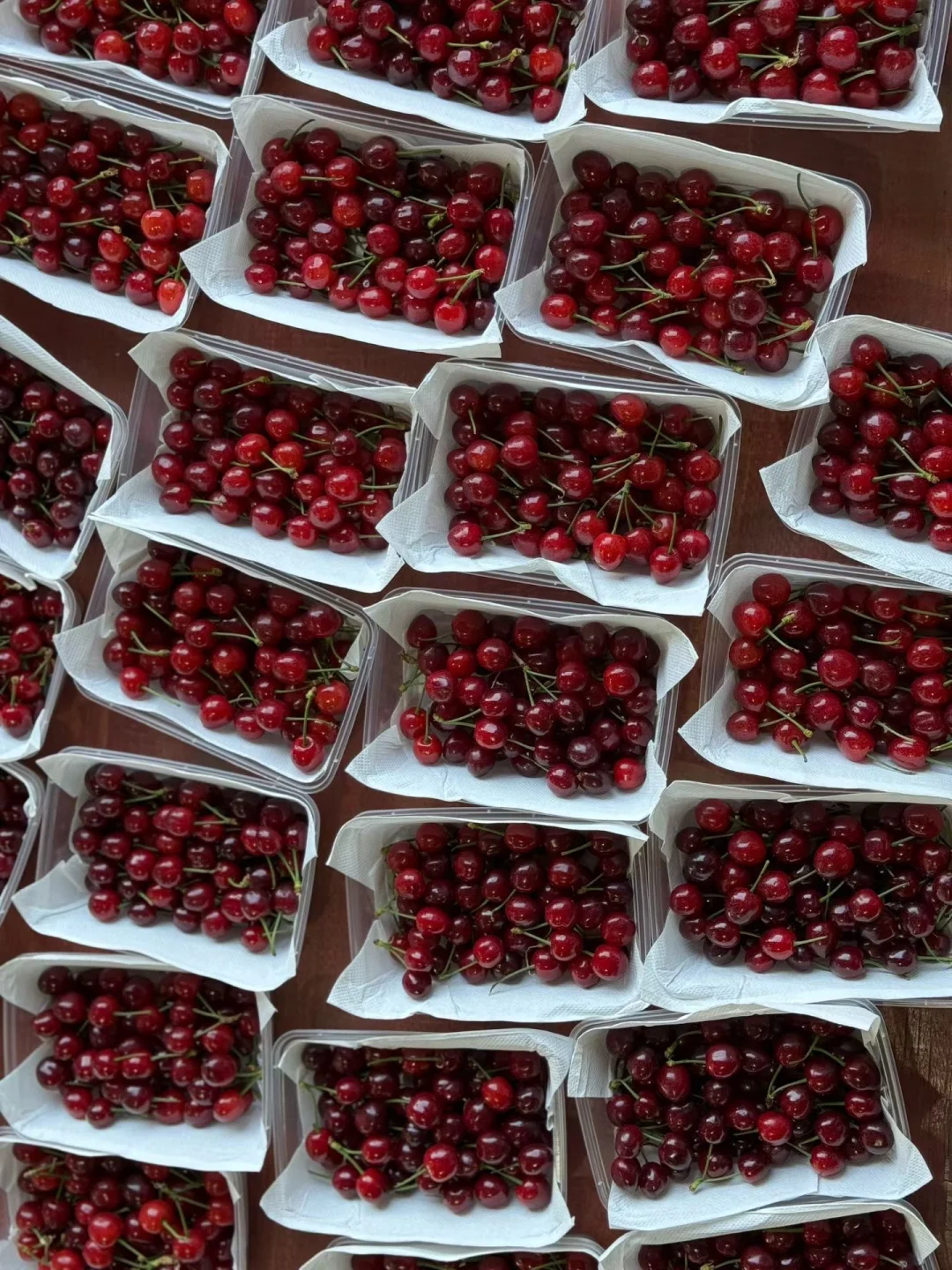 通宵采摘，终于把大家的小樱桃都发走啦！