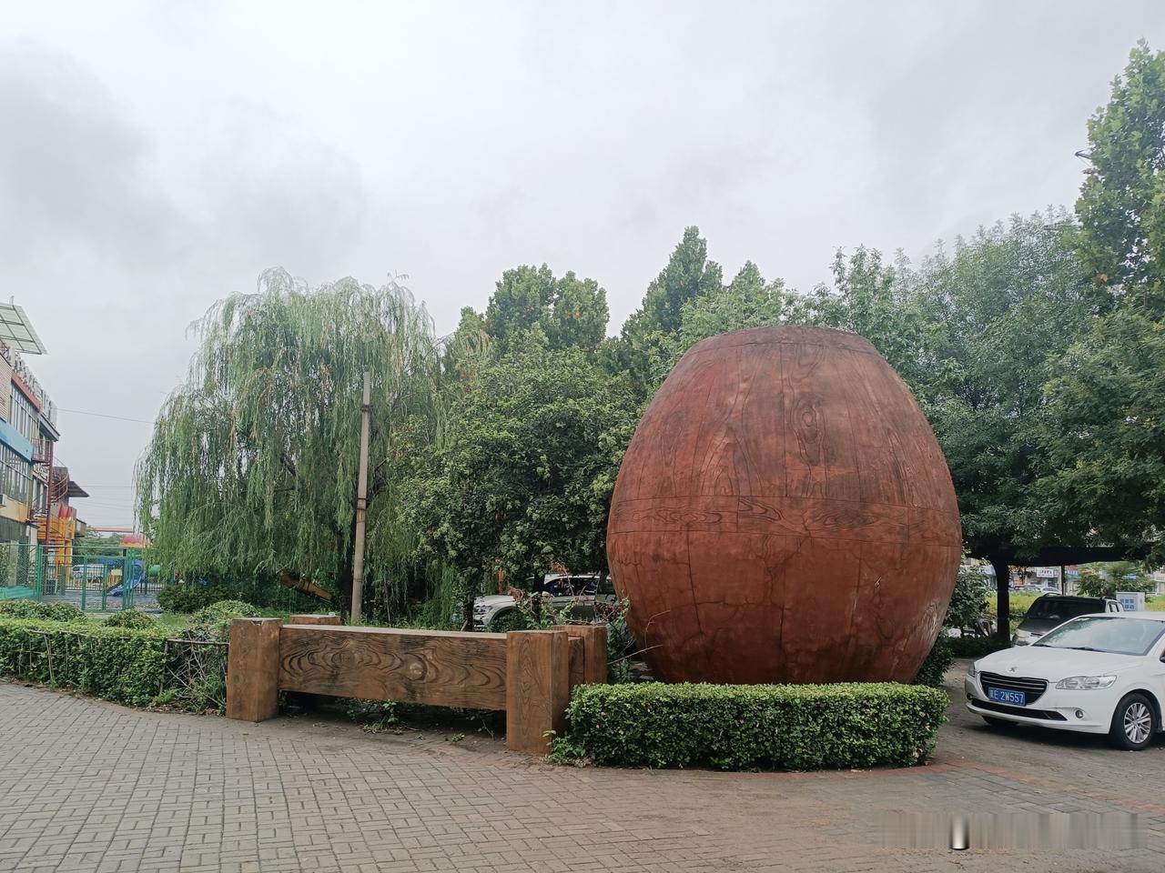 雨中的风景总是别有一番韵味……
（图片：拍摄于邢台沙河市·新兴路/西崔公园 20