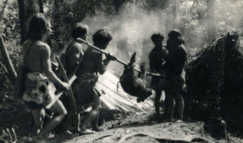 [微风]1956年，解放军在云南原始森林深处，发现一群衣不蔽体，蓬头垢面的男男女