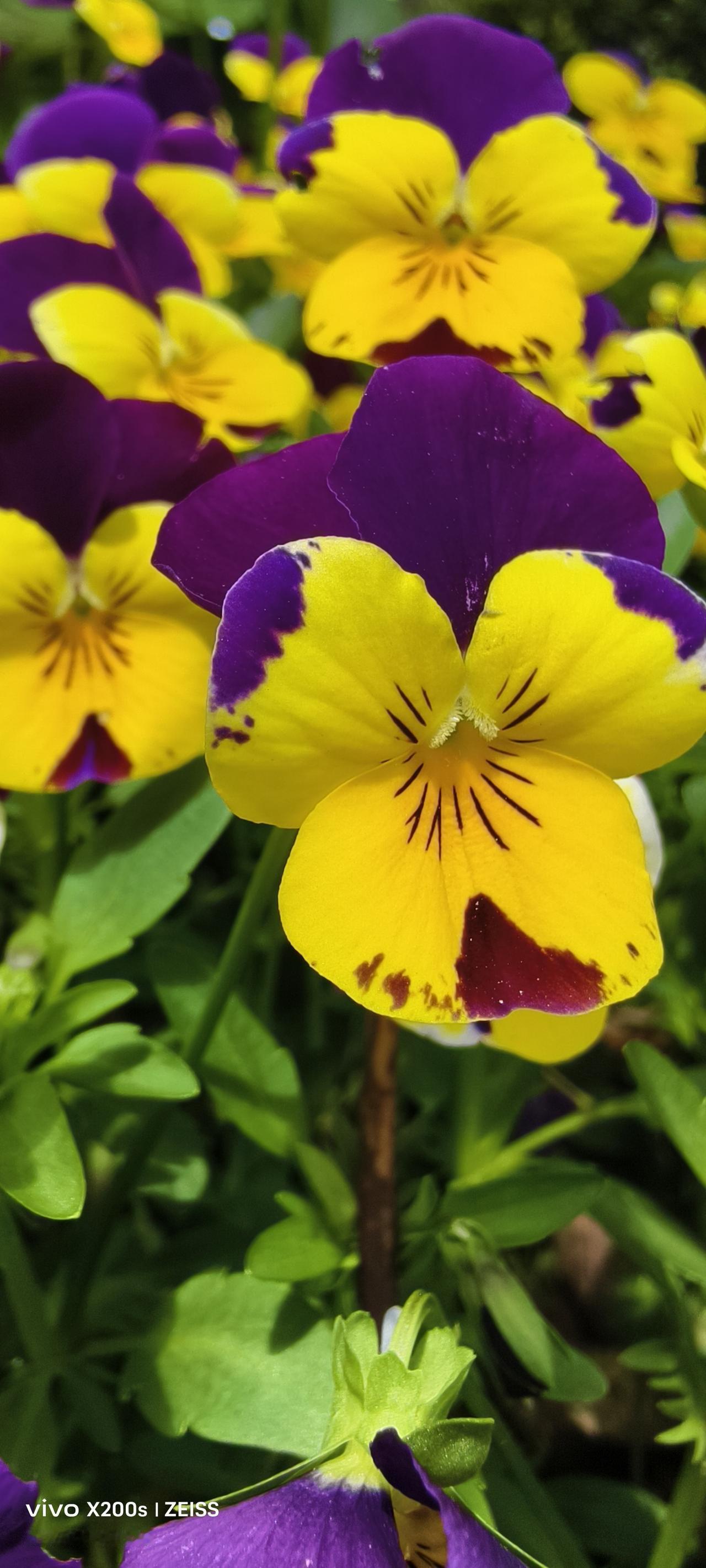 半夜睡不着，老公拿出手机给她算了一笔账，算完她笑了

今天在群里看到一个从内地嫁