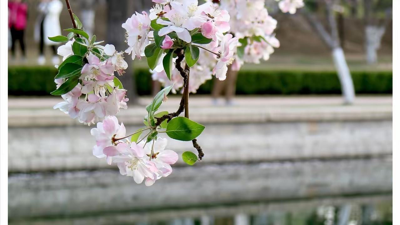 一直觉得自己很年轻，却意识到自己作为70后，已经年过半百，人生路走了一半了。
