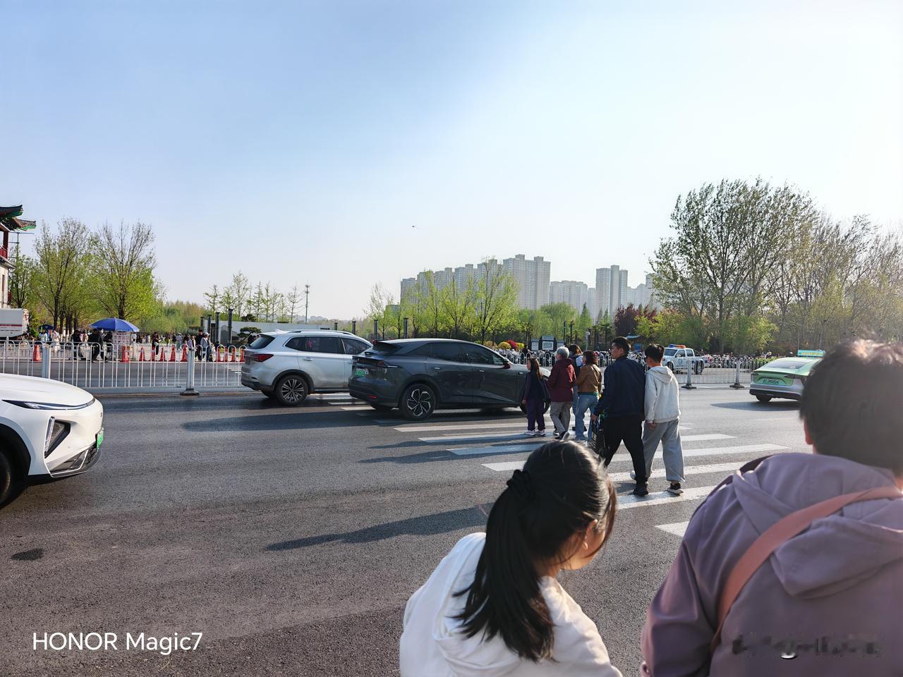 植物园北区与南区出口之间，丛台东路上的红绿灯去哪儿了？
大约在2026年春节的前