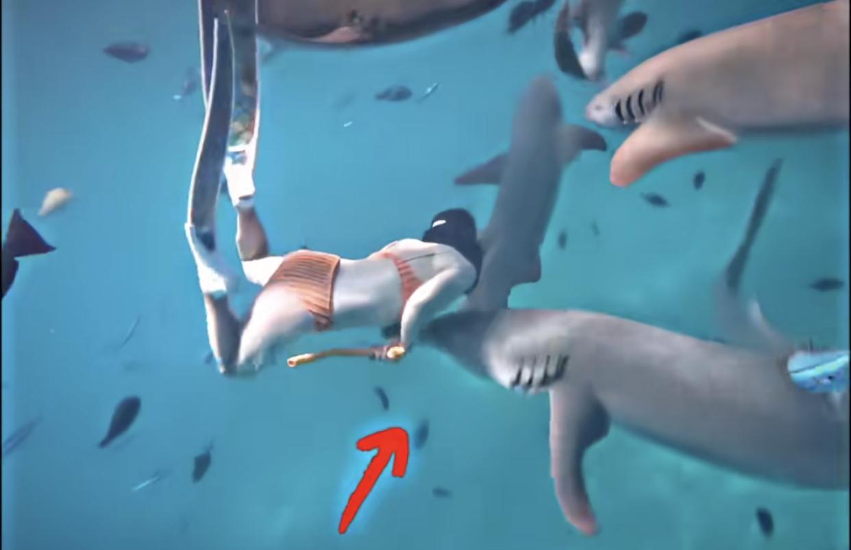 有句老话讲得挺在理，好心劝不住要作死的人。
最近看到个博主和闺蜜去马尔代夫玩，为