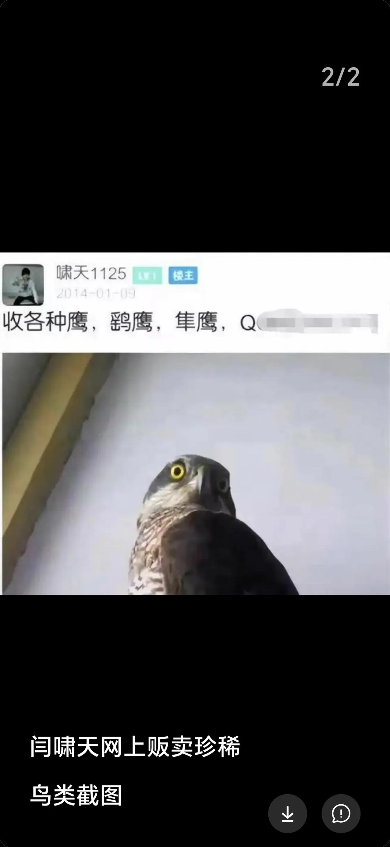 闫啸天掏鸟被判了10年，刑满出狱现在搞直播、考驾照等。
法官王顺亮认为自己依法判
