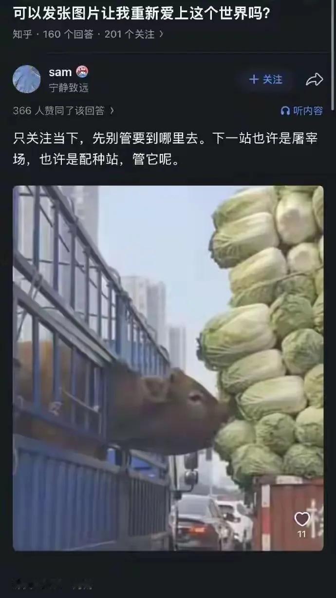 别管什么情况，先吃点饭吧[狗头]