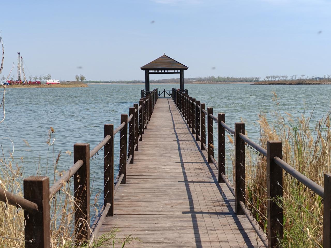 东营市天鹅湖天鹅湖蓄滞洪湿地东广场