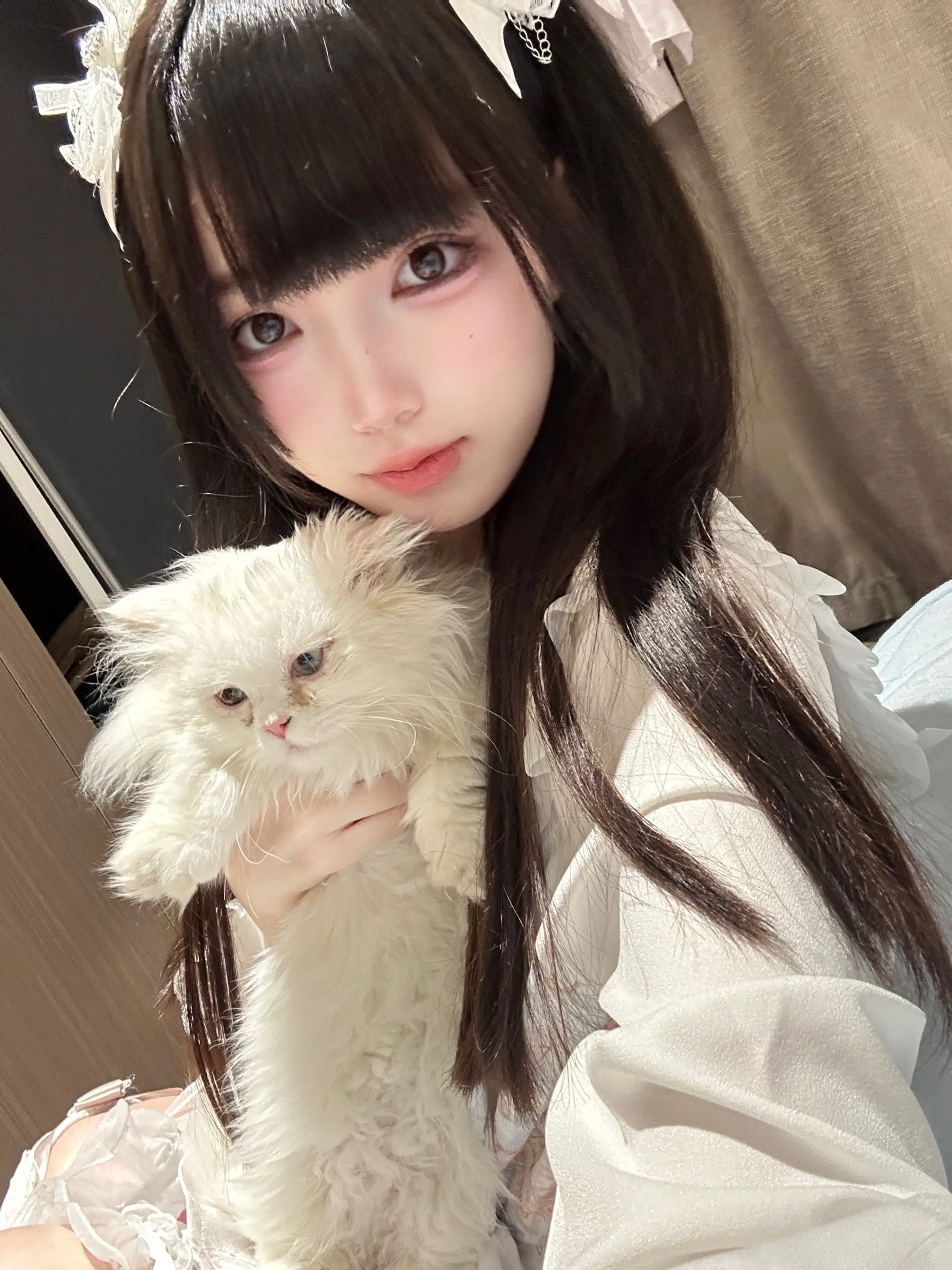 喜欢小猫就要爱她锋利的爪子
