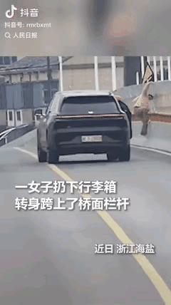 年关将至的浙江海盐，
一位女子拉着行李箱在大桥上突然轻生，一条腿已跨出栏杆，
千
