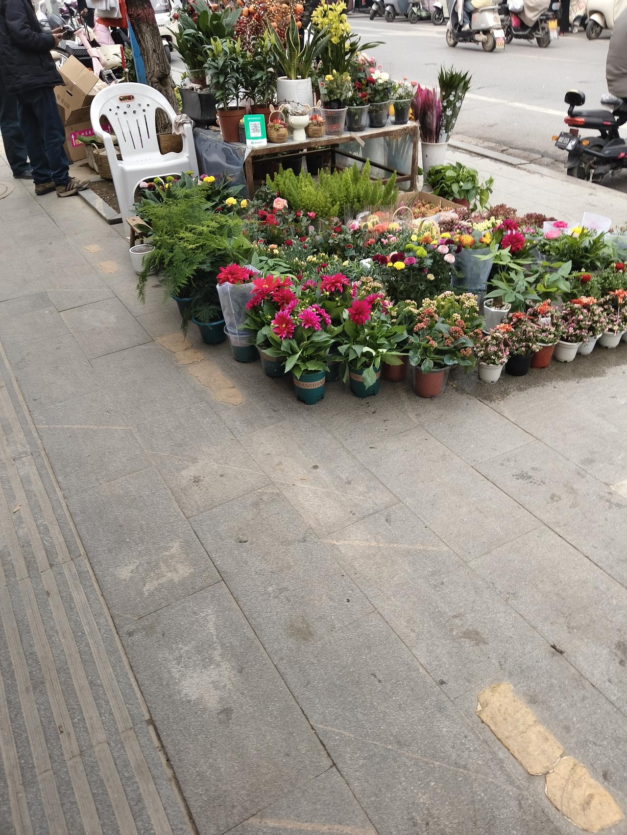 风一吹，花叶轻晃，连带着整条街都软了下来。