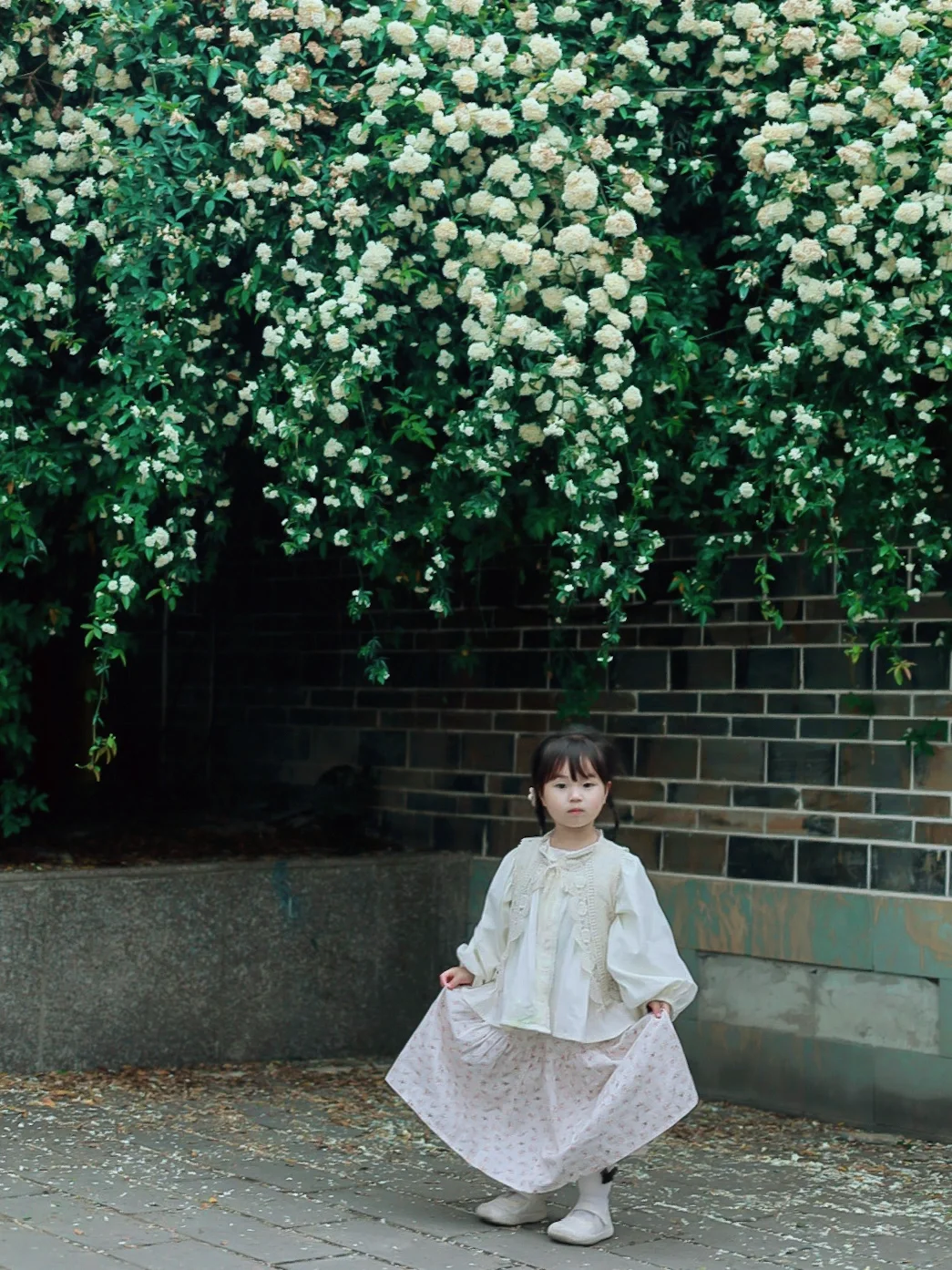 成都遛娃✅｜这片七里香瀑布墙拍照也太美了~