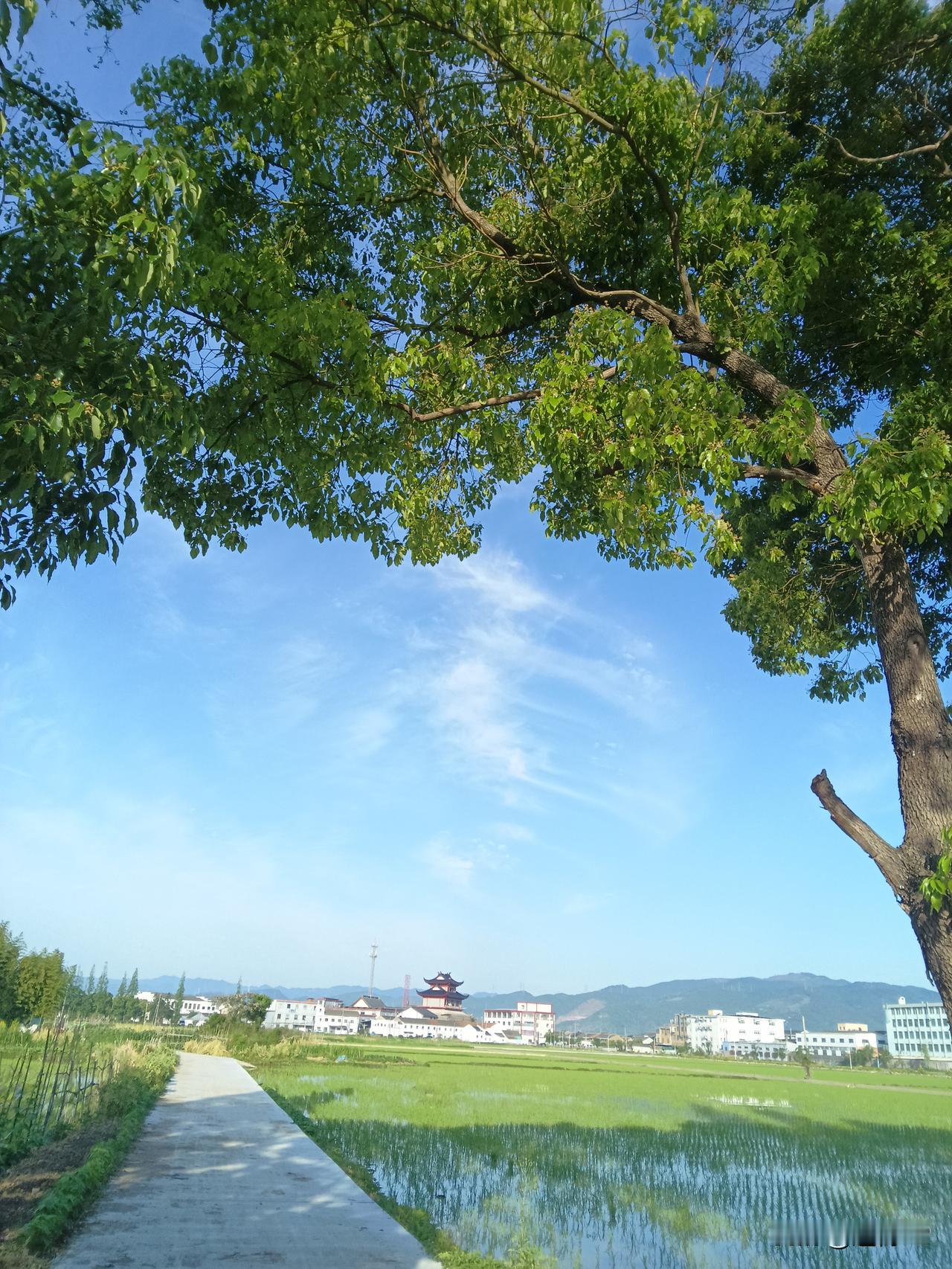 这几天我一直在琢磨这件事，就个人收入而言，达到发达国家的水平倒没问题，可家里又不