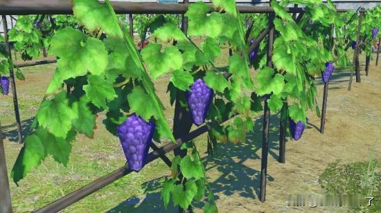 提到《最终幻想14》的“低画质多边形葡萄”，相信很多玩家都有印象。这些搞笑的模型