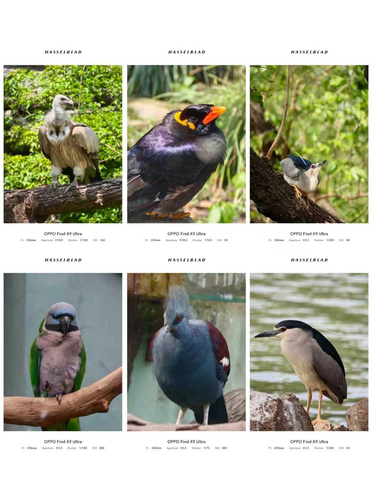 一台手机要用4年😭我决定开钉Ta了
我是那种换手机超级纠结的人
今年换机计划是