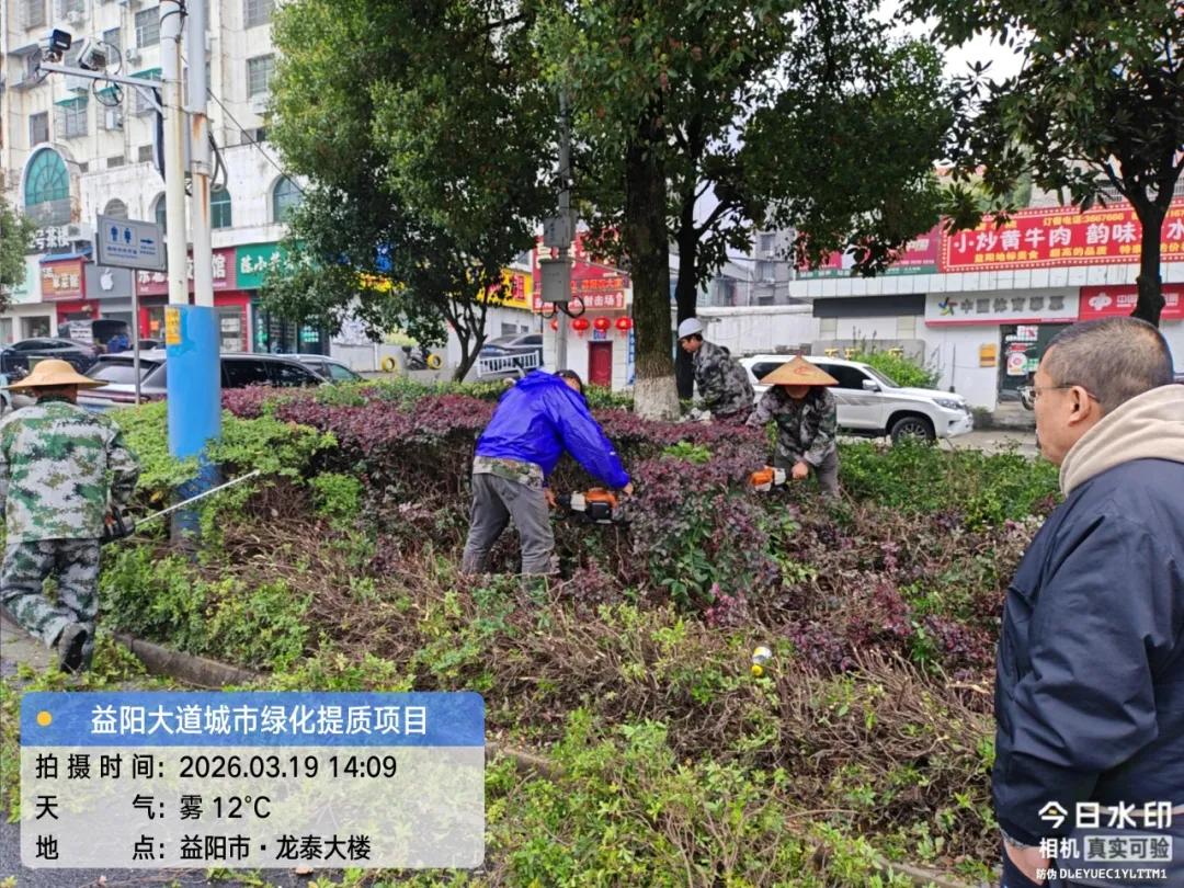 巧借“天时” 推进城区绿化提质