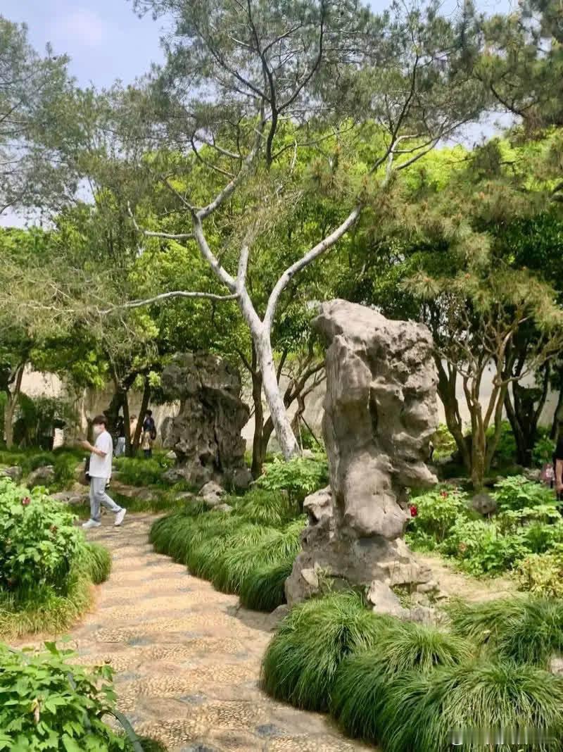 有一天，斯琴格日乐挺着大肚子，找到臧天朔的老婆李梅说：“我怀了他的孩子，他最爱的