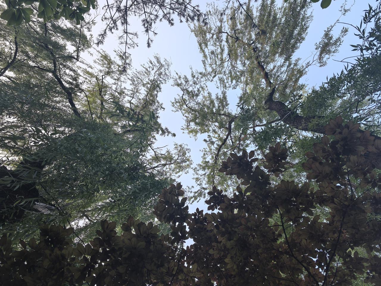 玉门河公园