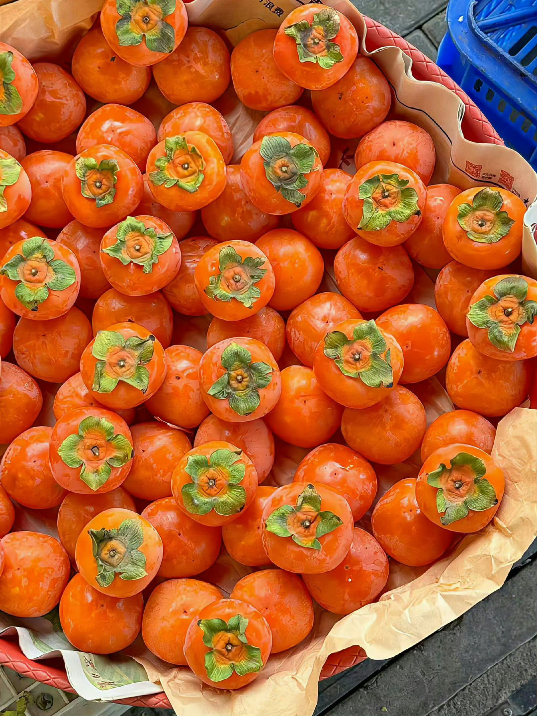 接下来的你们柿柿如意 ​​​