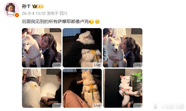 孙千晒6张卢克合照照片里孙千和软乎乎的大狗亲密贴贴、拥抱rua狗，氛围感满满。孙