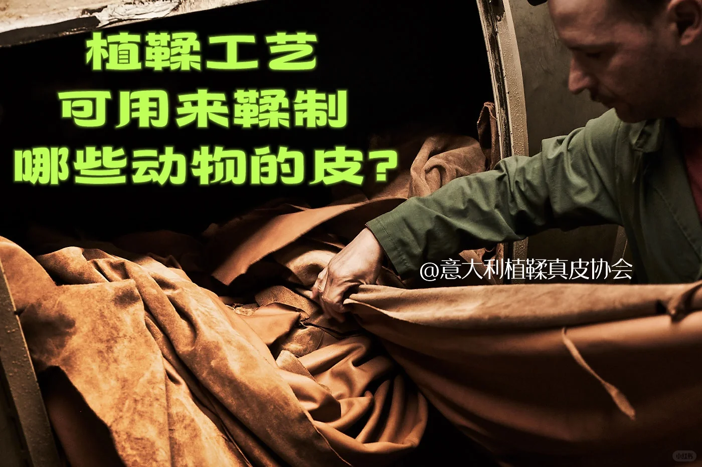 🤔用植鞣工艺可以鞣制哪些动物的皮？