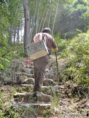 赤脚医生范无病传奇（一）
 赤脚医生范无病，手拿一张黄纸摇晃，对众人说：“她的膝